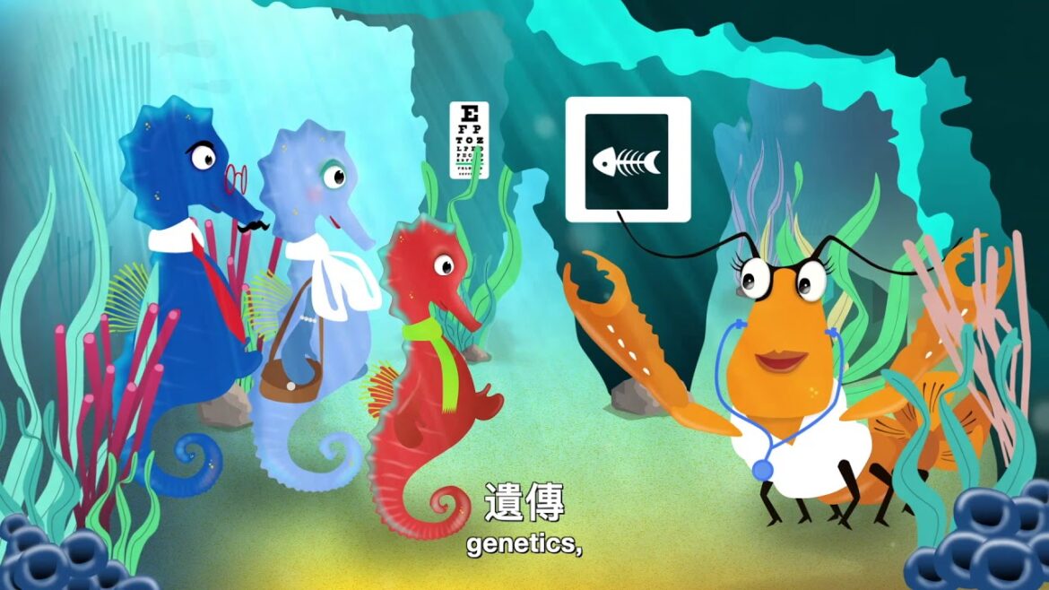 國際腦癇局 Campi 系列 – 香港版